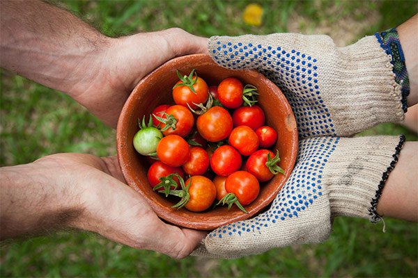 farm-to-table restaurants in Panama City